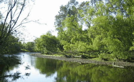 Ribbonwood Cottages - Accommodation Search