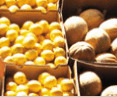 Brisbane Markets - Accommodation Search