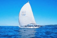 Manly Harbour Village - Accommodation Search