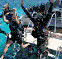 Snorkel Safari Brisbane - Accommodation Search