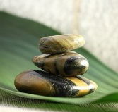 The Nature of Balance - Accommodation Search