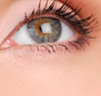 Cinnamon Stix Hair  Day Spa - Accommodation Search