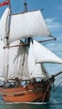 Enterprize - Melbourne's Tall Ship - Accommodation Search 2