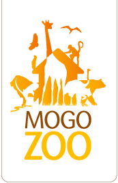 Mogo Zoo - Accommodation Search 0