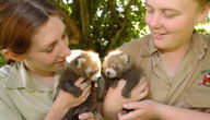 Mogo Zoo - Accommodation Search 3