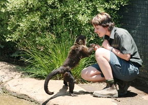 National Zoo & Aquarium - Accommodation Search 1