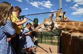 National Zoo & Aquarium - Accommodation Search 2