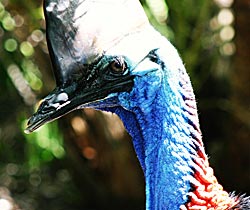 Alma Park Zoo - Accommodation Search 0