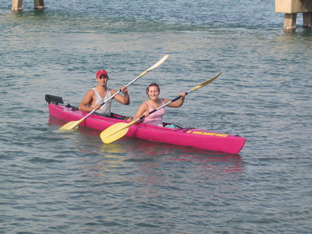 Swan Boat Hire - Accommodation Search 2