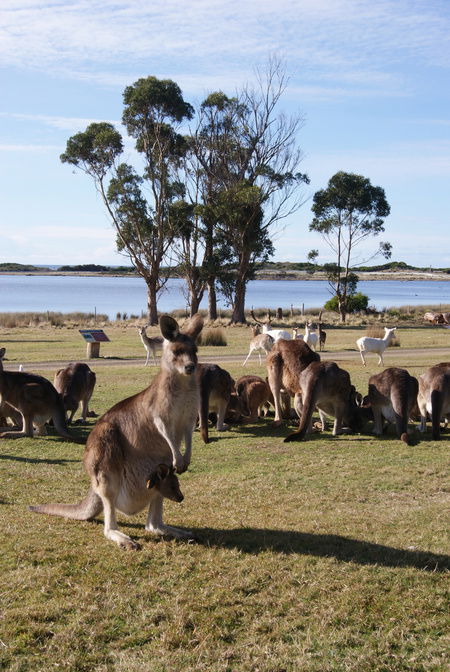 East Coast Natureworld - Accommodation Search 1