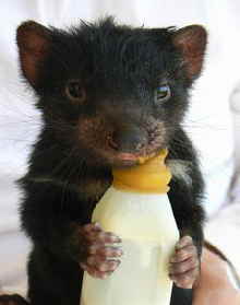 East Coast Natureworld - Accommodation Search 2