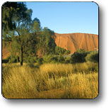 Areyonga NT Accommodation Search