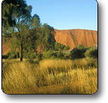 Uluru - Kata Tjuta National Park - Accommodation Search