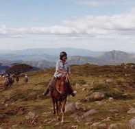 High Country Horses - Accommodation Search