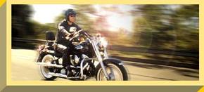 Easy Rider - Accommodation Search 1