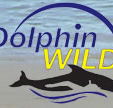 Dolphin Wild - Accommodation Search