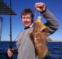 Downunder Charters - Accommodation Search