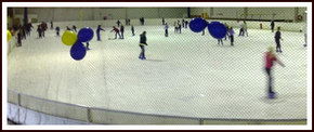 Bendigo Ice Stadium - Accommodation Search 2