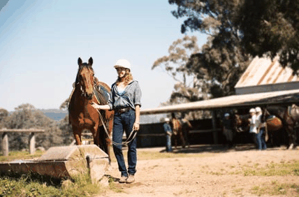 Watsons Trail Rides - Accommodation Search