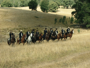 McCormacks Mountain Valley Trail Rides - Accommodation Search