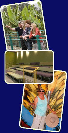 Big Banana - Accommodation Search 2