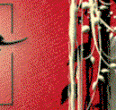 Queensland Shakespeare Ensemble - Accommodation Search