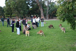 Caversham Wildlife Park - Accommodation Search 2