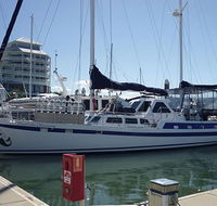Coral Sea Dreaming Dive and Sail - Accommodation Search