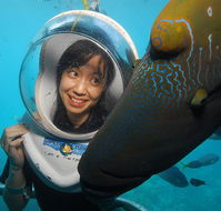 Sunlover Reef Cruises - Accommodation Search