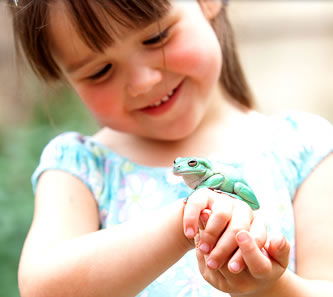 Reptile Encounters - Accommodation Search 1