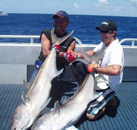 Blue Juice Charters - Accommodation Search