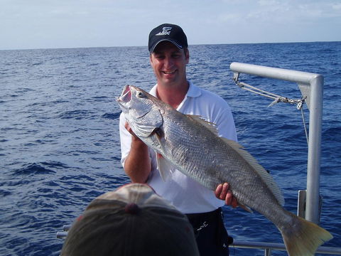 Blue Juice Charters - Accommodation Search 1