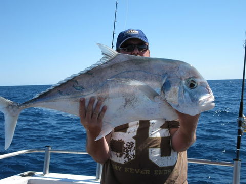 Blue Juice Charters - Accommodation Search 4
