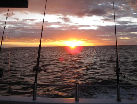 Blue Juice Charters - Accommodation Search 5