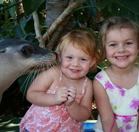 Dolphin Marine Magic - Accommodation Search