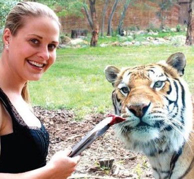 National Zoo & Aquarium - Accommodation Search 4
