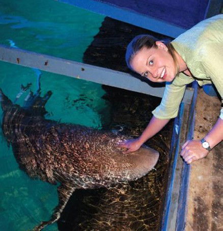National Zoo & Aquarium - Accommodation Search 7