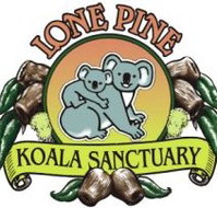 Lone Pine Koala Sanctuary - Accommodation Search