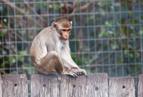 Darling Downs Zoo - Accommodation Search 5