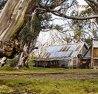 High Country Scenic Tours - Accommodation Search