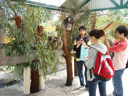 Caversham Wildlife Park - Accommodation Search 4