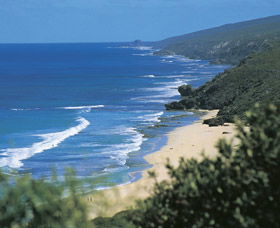 Yallingup Beach - Accommodation Search 0