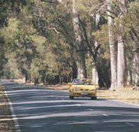 Ludlow Tuart Forest - Accommodation Search