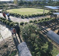 Kojonup Rose Maze - Accommodation Search