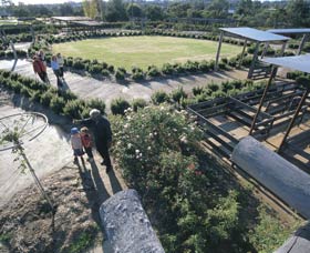 Kojonup Rose Maze - Accommodation Search 0