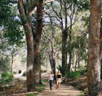 Law Trail and Lotterywest Federation Walkway Kings Park - Accommodation Search