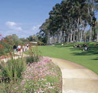 Kings Park Free Guided Walks - Accommodation Search