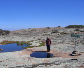 Dingo Rock - Accommodation Search 0