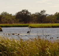 Anytime Adventures in Mandurah  the Peel Region - Accommodation Search