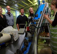 Eyre Peninsula's Seafood Trail - Accommodation Search